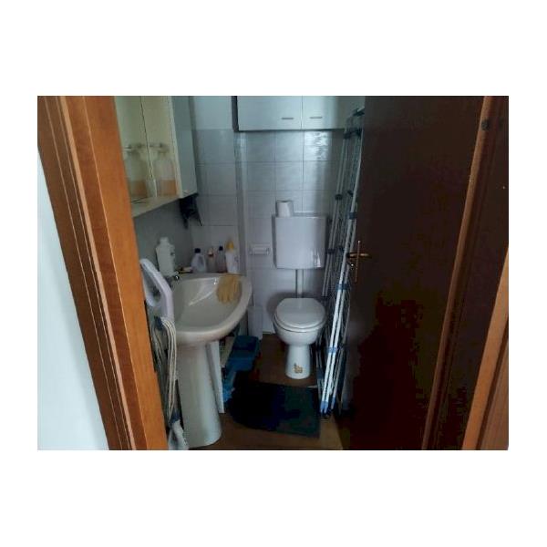 imagealt