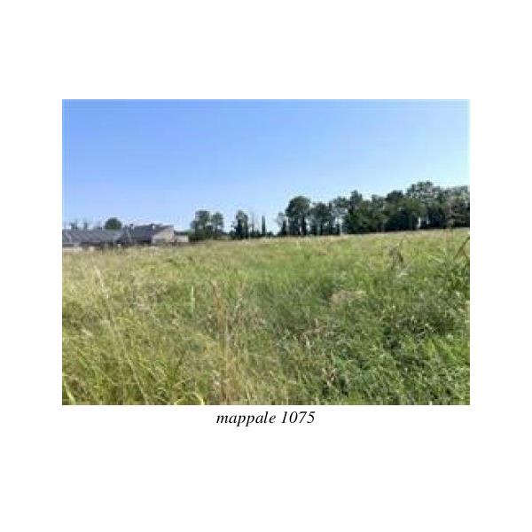 imagealt